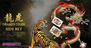 Aturan Judi Dragon Tiger Bandar Casino Online